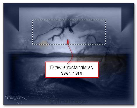 Rectangleontreeimage