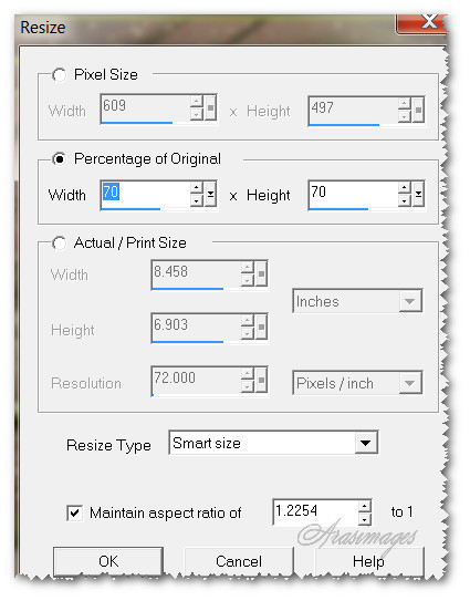 ResizeAnimation1