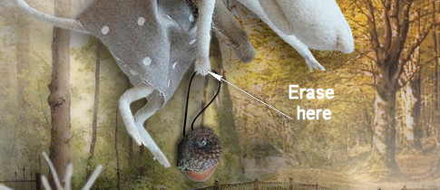 ErasePurseFromHand