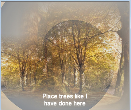 Step8Trees