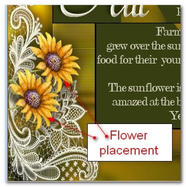 FlowerPlacement