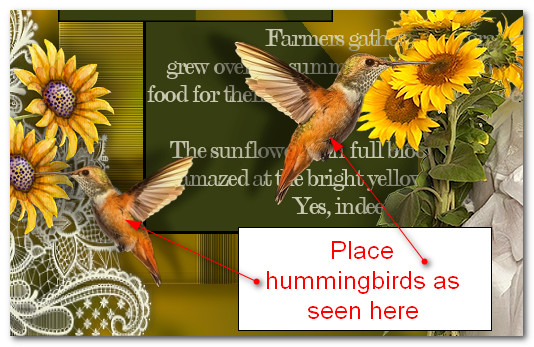 PlaceHummingbirds