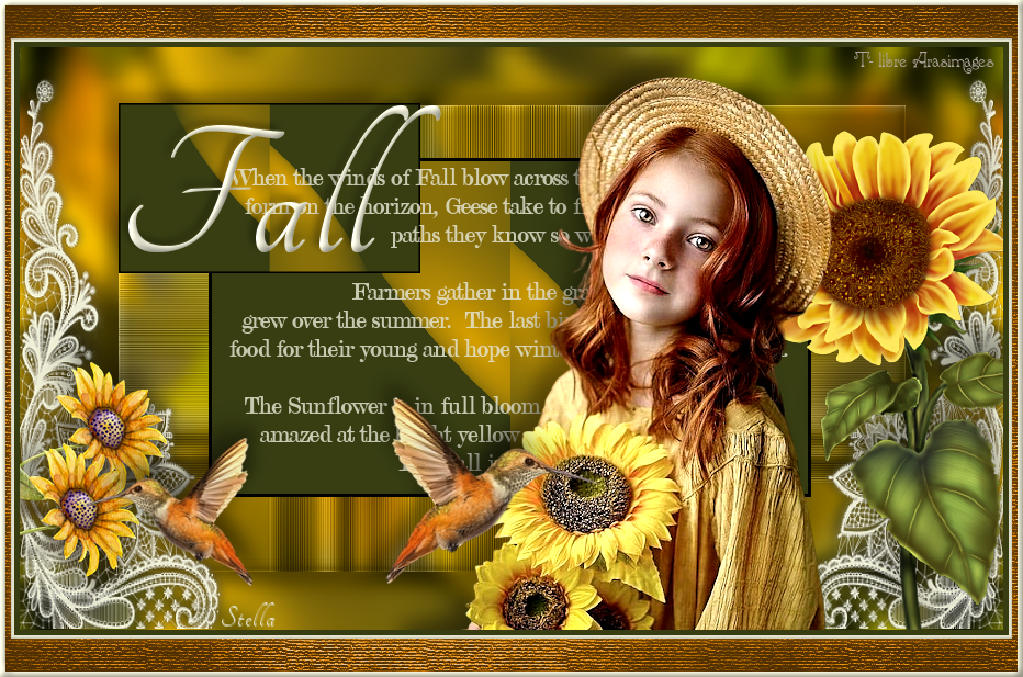 fall_stardesignpsp