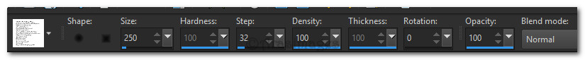Brushsettings