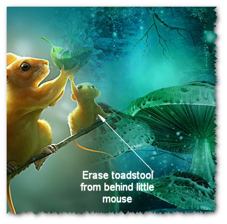 EraseToadstoolMouse