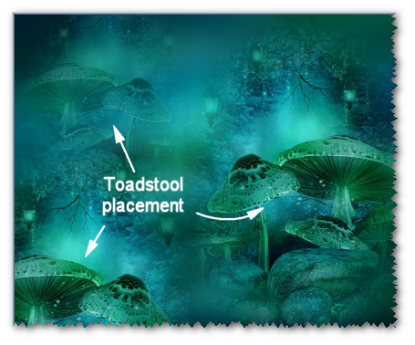 ToadstoolPlacement