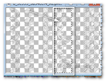 SelectLace3