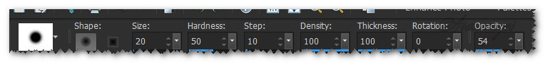 SmudgeToolSettings