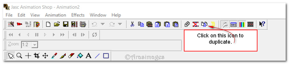 DuplicationnAS