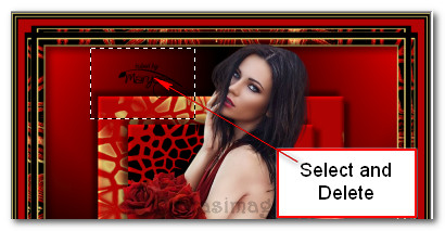 SelectDeleteMaryse