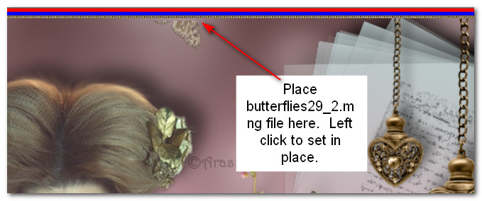 Butterflies29_2Placement