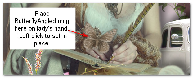 ButterflyAngledPlacement
