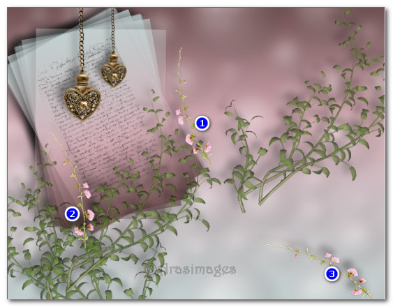 FlowerPlacement