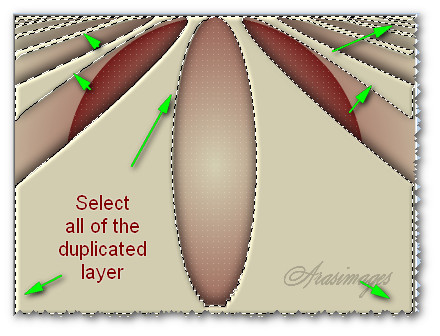 SelectDuplicatedArea