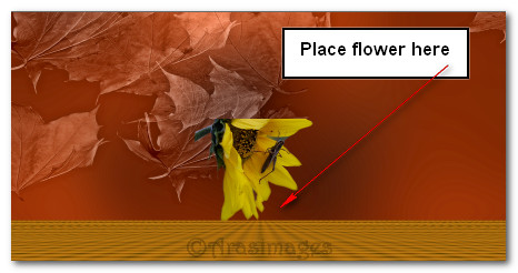 PlaceGoldenResPlaattopofimage