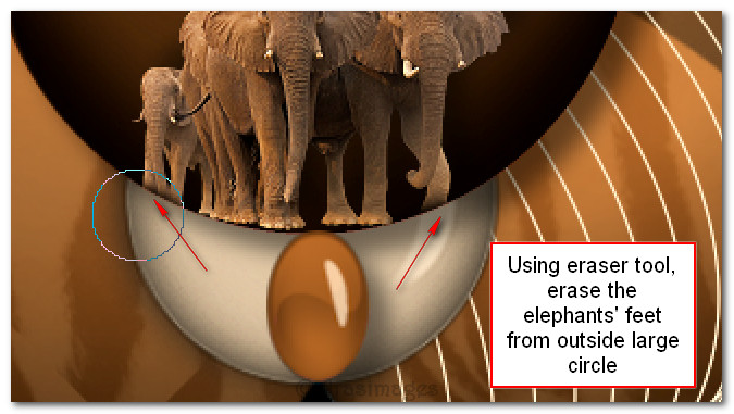 Eraseelephantsfeet