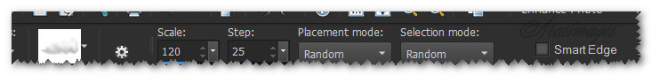 CloudsTopLayerSettings