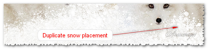 DuplicateSnowPlacement