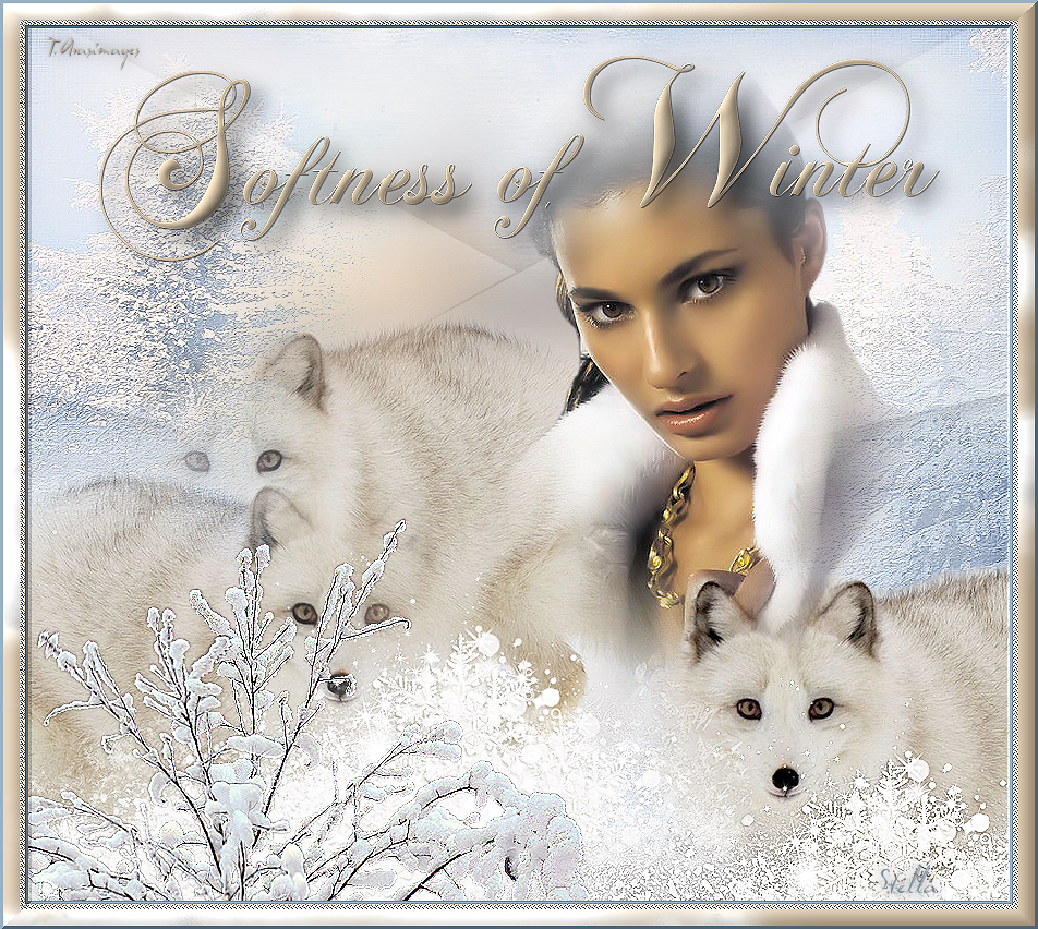 softnessofwinter