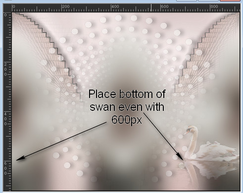 PlacementOfRSideSwan