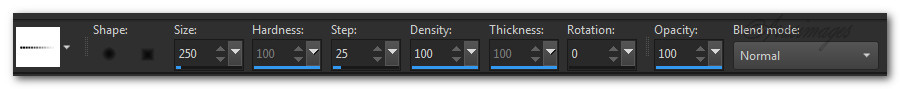 BrushStampSettings