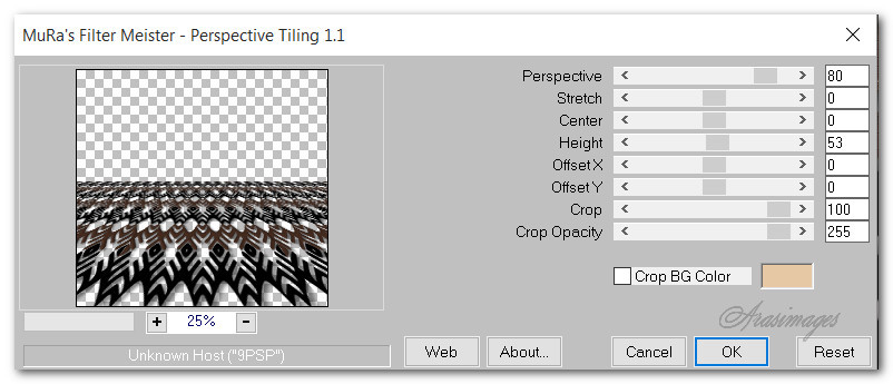 MuraMeisterPerspectiveTilingRaster2