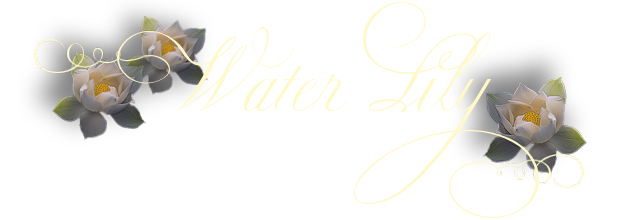 WaterLilyTop