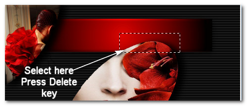 SelectLadyDelete