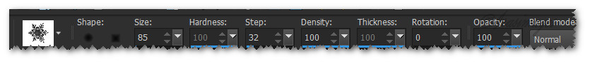 Snowflake31Settings