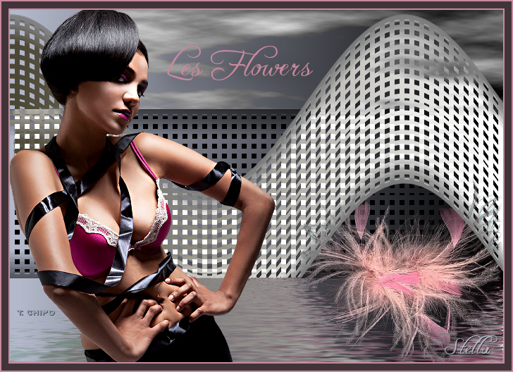 lesflowers