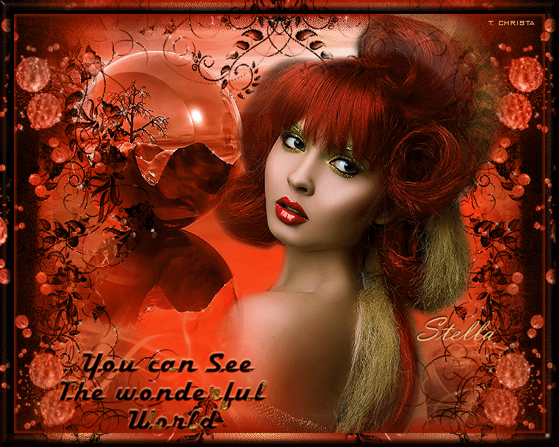 youcanseethewonderfulworld