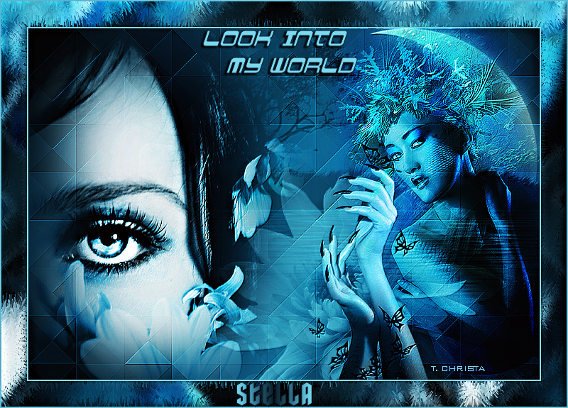 lookintomyworld