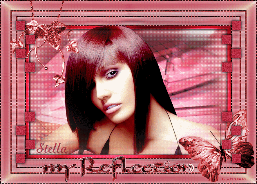 myreflection