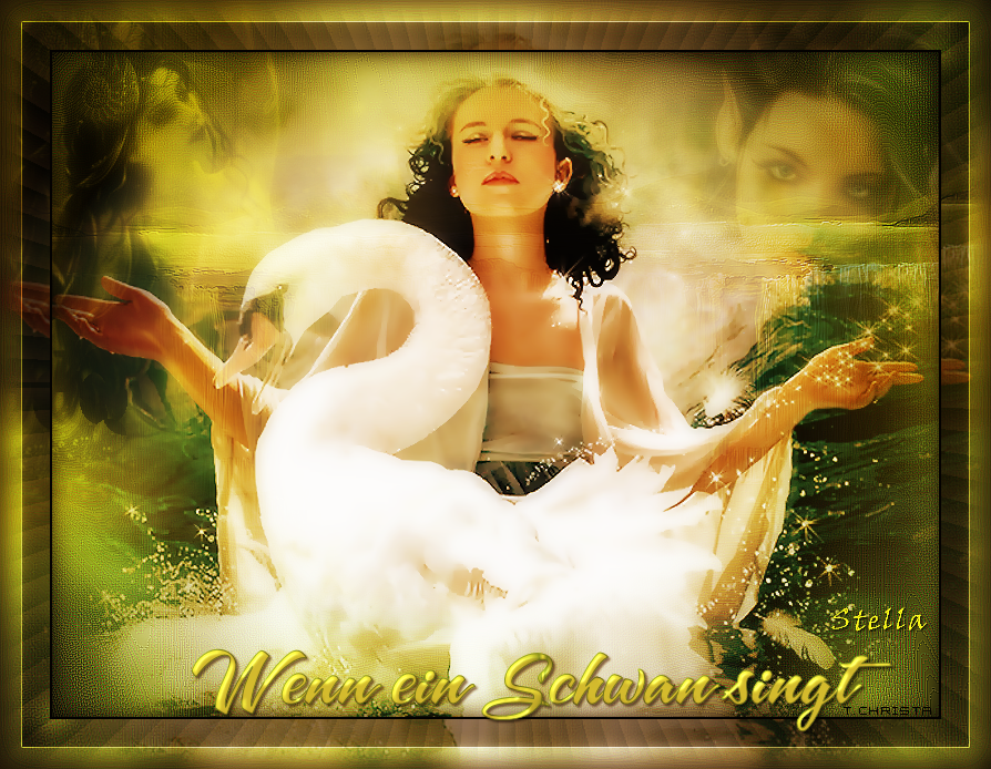 schwan_singt