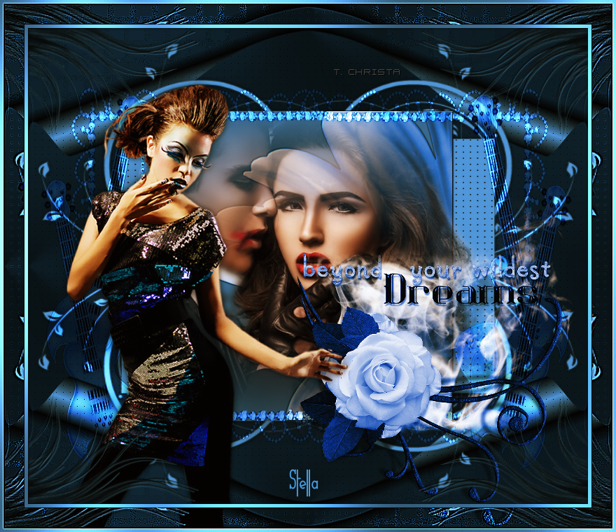 wildestdreams