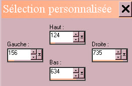 captselectionperso