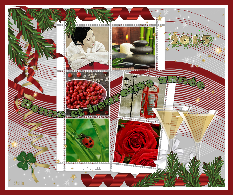 voeux2015