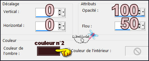 chantal-flou-decoupe