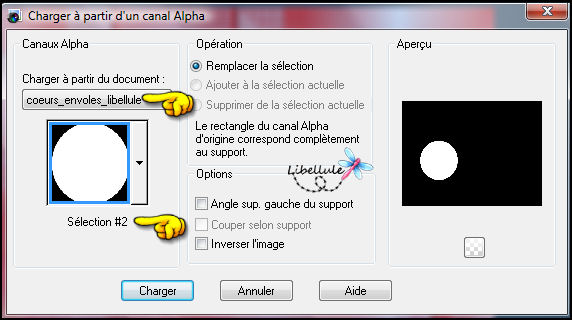 coeur-envole-canalalpha2