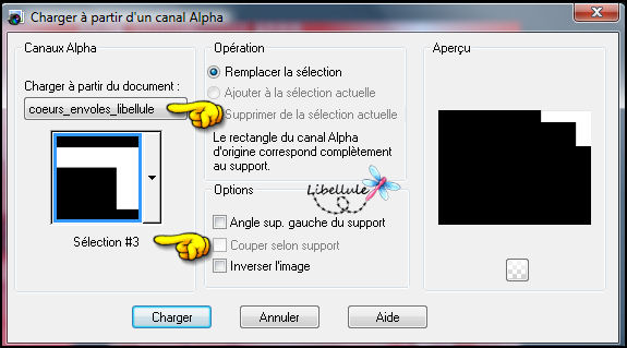 coeur-envole-canalalpha3