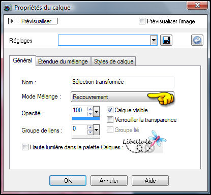 coeur-envole-proprietes3