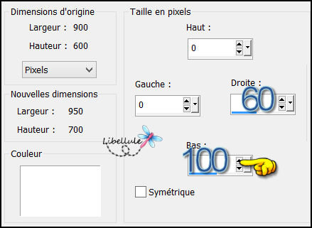 ciborg-bordure-1