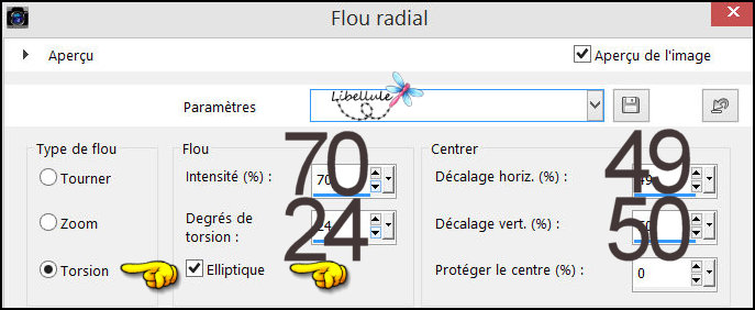 mere-dragons-flou-radial