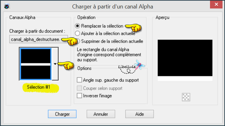 destructuree-canal-alpha1