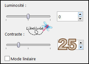 emphase-luminosite-contraste