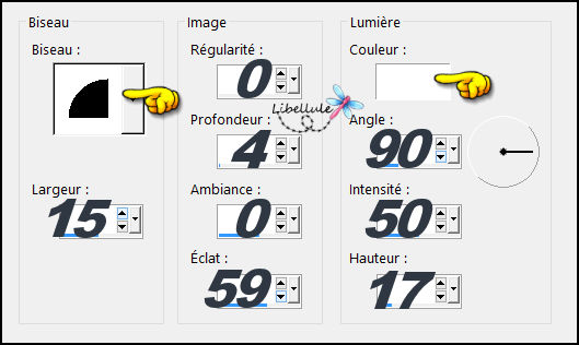 ce-fut-hiver-biseautage-interieur