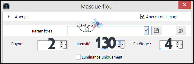 ce-fut-hiver-masque-flou