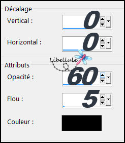 ce-fut-hiver-ombre