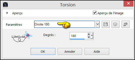 ce-fut-hiver-torsion