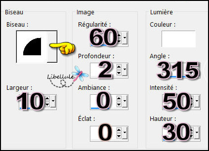 flower-biseautage-1